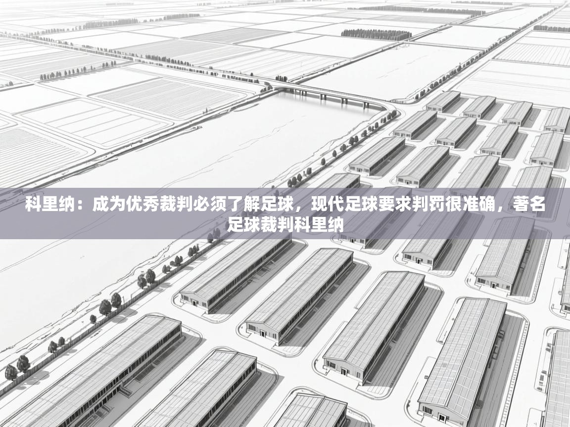 爱游戏-科里纳：成为优秀裁判必须了解足球，现代足球要求判罚很准确，著名足球裁判科里纳  第1张