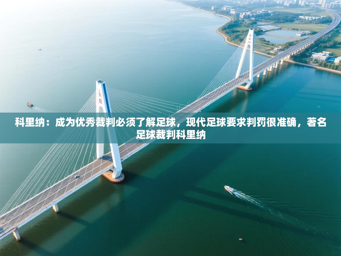 爱游戏-科里纳：成为优秀裁判必须了解足球，现代足球要求判罚很准确，著名足球裁判科里纳  第4张